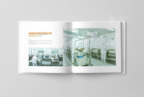 鮮譽品牌觸覺 企業形象畫冊與宣傳冊設計理念